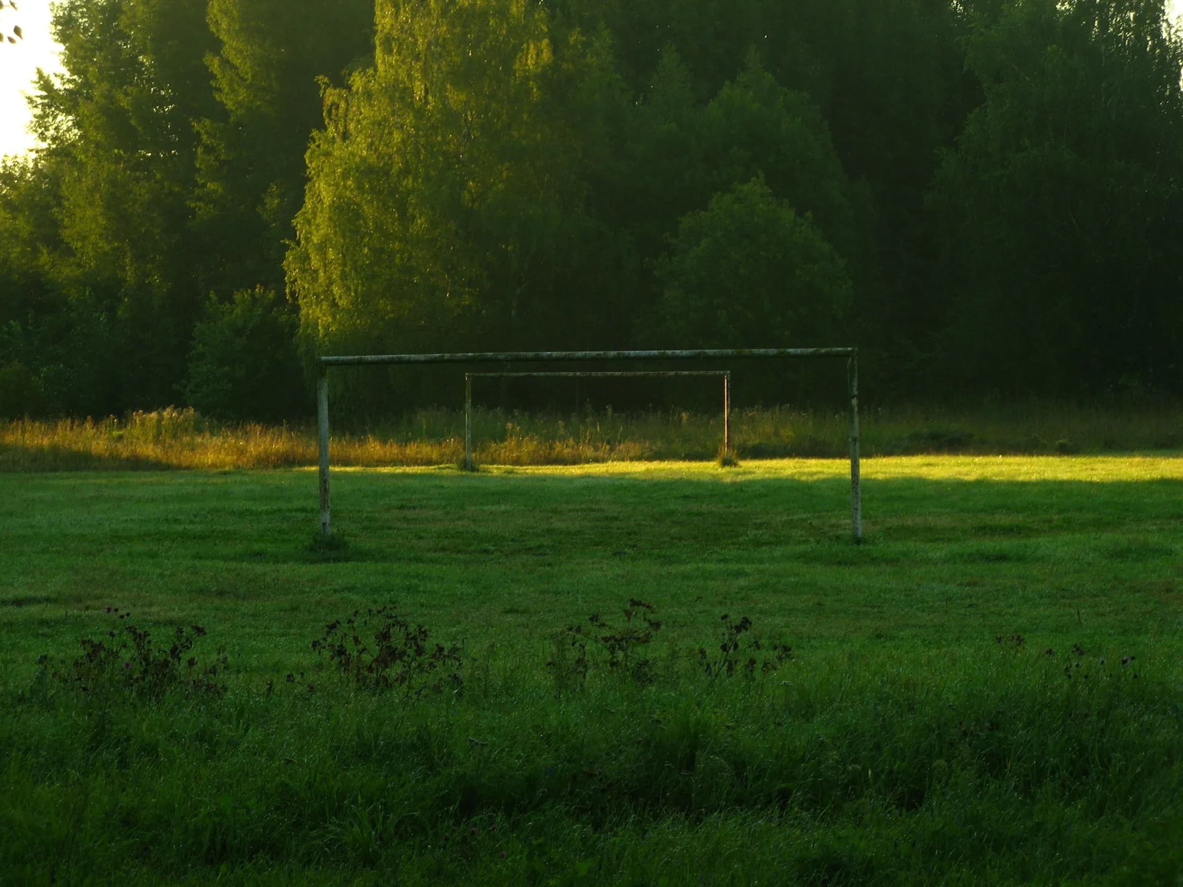 A real grass soccer field and goal in soft morning light.